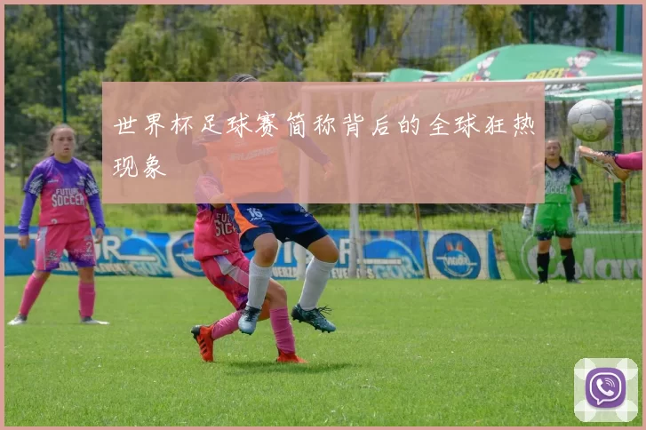 世界杯足球赛简称背后的全球狂热现象