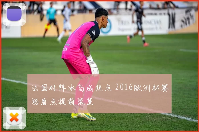 法国对阵冰岛成焦点 2016欧洲杯赛场看点提前聚集