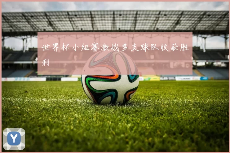 世界杯小组赛激战多支球队收获胜利