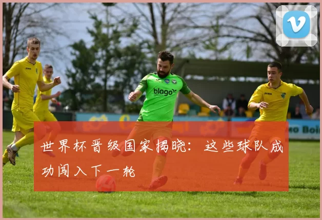 世界杯晋级国家揭晓：这些球队成功闯入下一轮