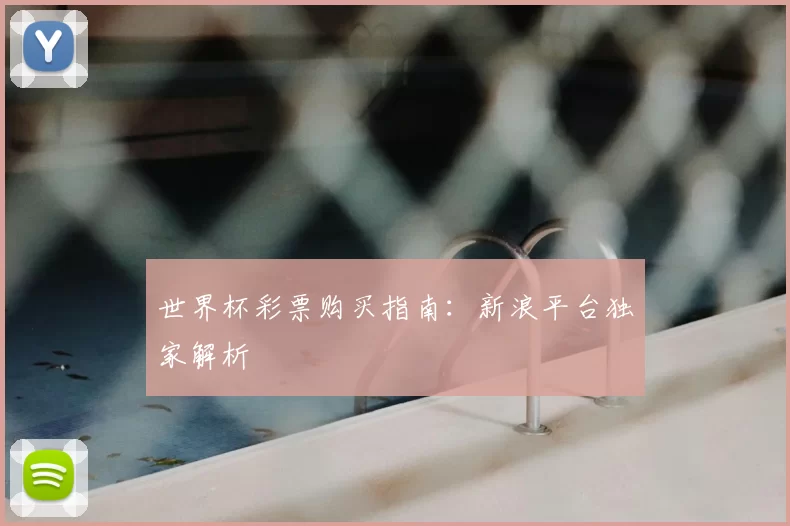 世界杯彩票购买指南：新浪平台独家解析