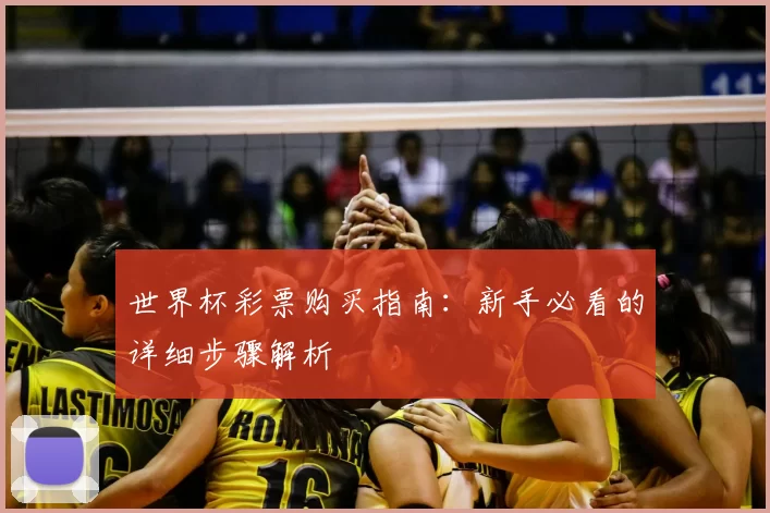 世界杯彩票购买指南：新手必看的详细步骤解析
