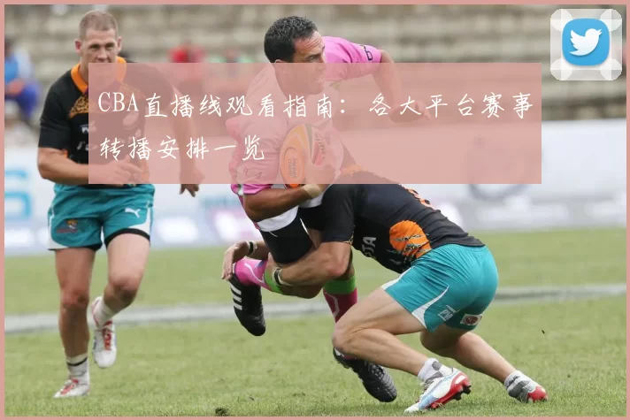 CBA直播线观看指南：各大平台赛事转播安排一览
