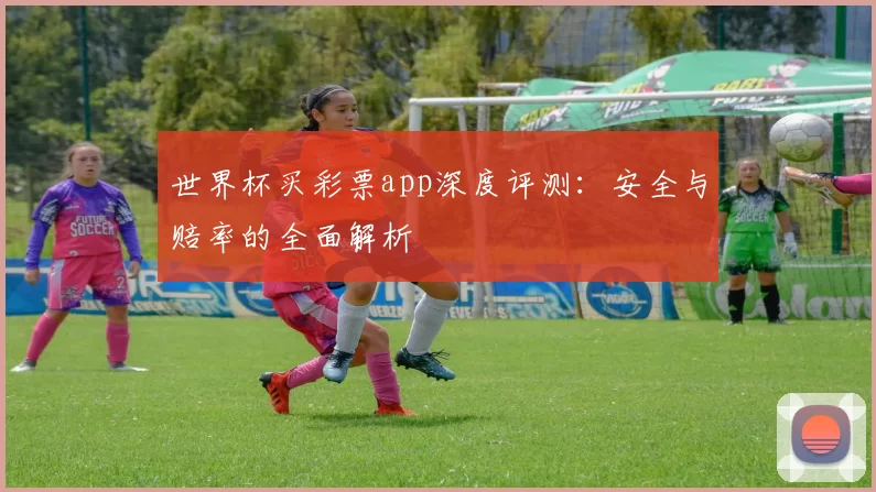 世界杯买彩票app深度评测：安全与赔率的全面解析