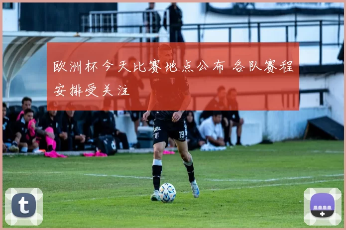 欧洲杯今天比赛地点公布 各队赛程安排受关注