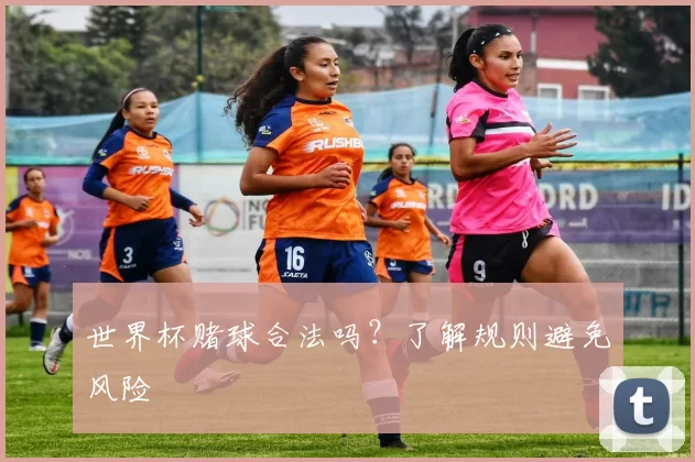 世界杯赌球合法吗？了解规则避免风险