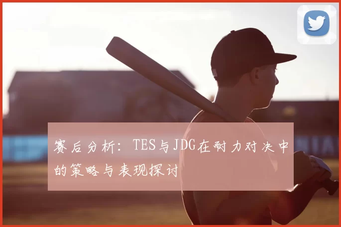 赛后分析：TES与JDG在耐力对决中的策略与表现探讨