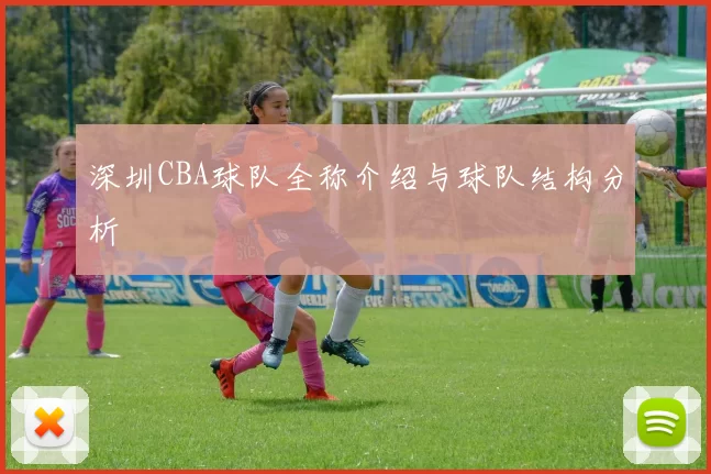 深圳CBA球队全称介绍与球队结构分析