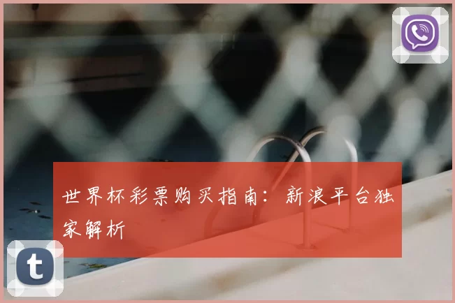 世界杯彩票购买指南：新浪平台独家解析