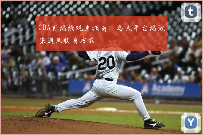 CBA直播线观看指南：各大平台播放渠道及收看方式